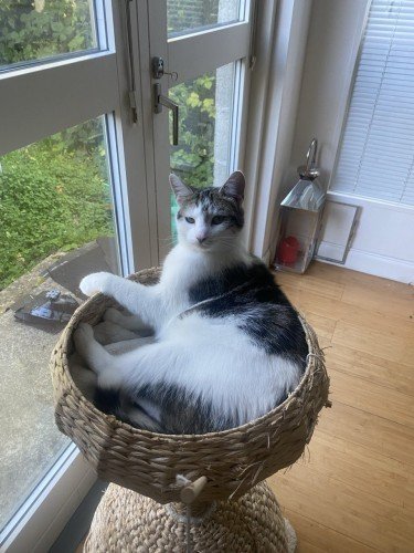 677a90822a5eb1736085634