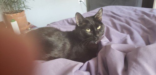 67bf396fb004c1740585327