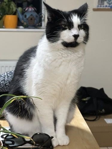 67ff6f715250d1744793457