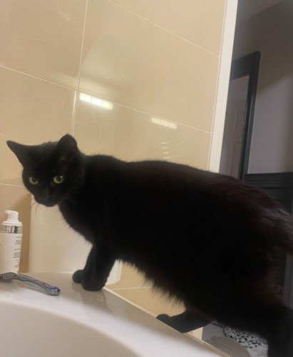 6824b261cfa511747235425