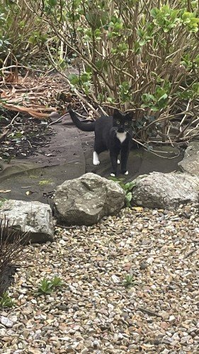 682b51dbd0c0c1747669467