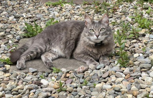 682c7c288219a1747745832