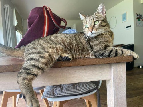 6831cfbc7ec7b1748094908