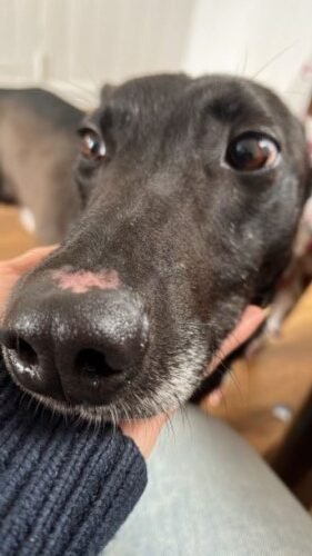 68378e84079801748471428