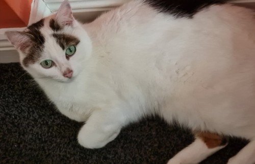 6840cab3ca4491749076659