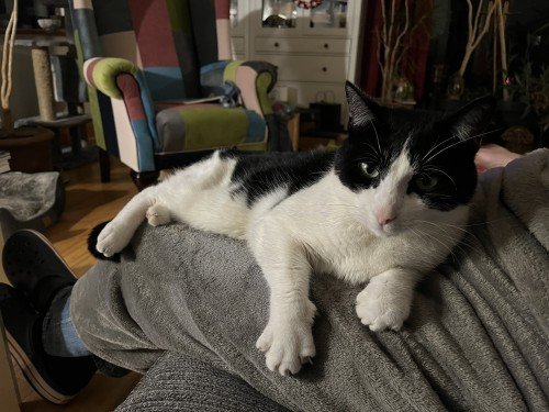 6841818f78dc51749123471