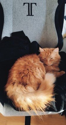 684458e6afe0f1749309670