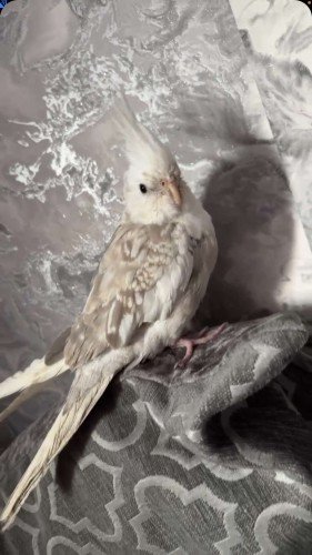 68454eb15a05a1749372593