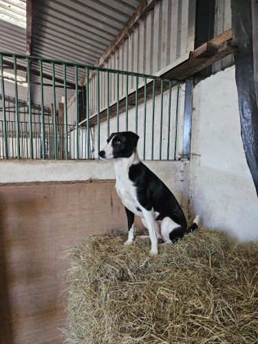 685eb85d16fad1751038045