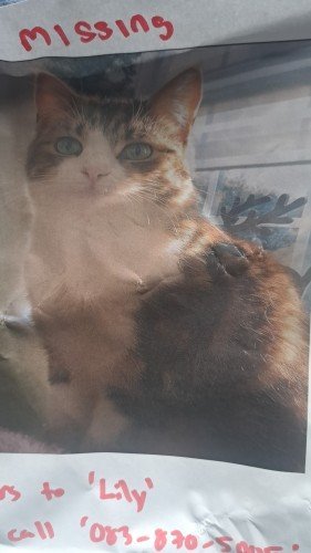 6877cbec788571752681452