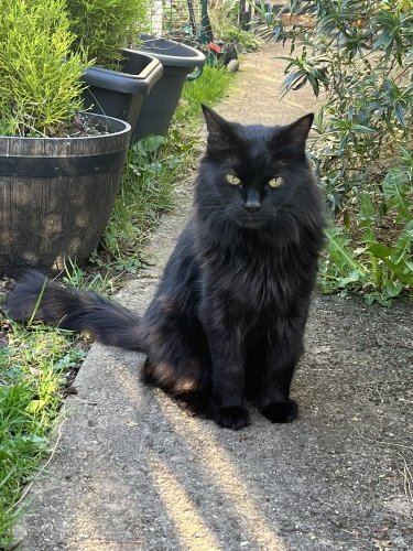 6878e91a2ebe71752754458