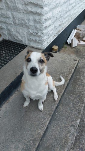 68869863955ab1753651299