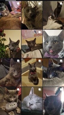 6889fe60461bc1753874016