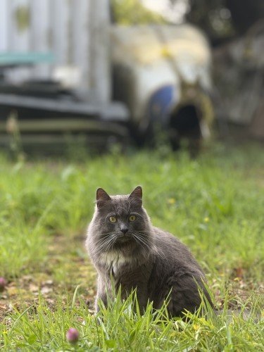 68ac289af08251756113050