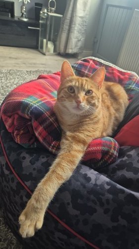 68b174145011e1756460052