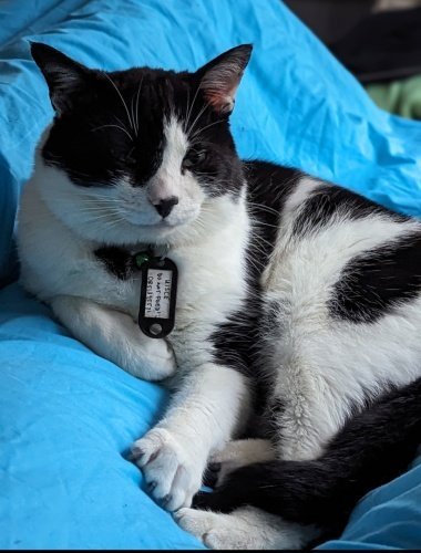 68bae104272f11757077764