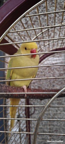 68cb3b218e9471758149409