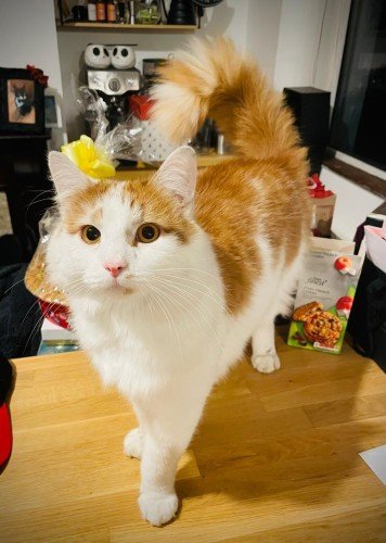 68cecbcb2beb21758383051